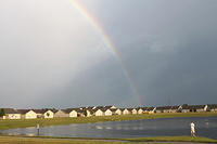 IMG 0784